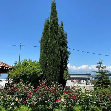 Alazani Valley Hotel Telavi Exterior foto